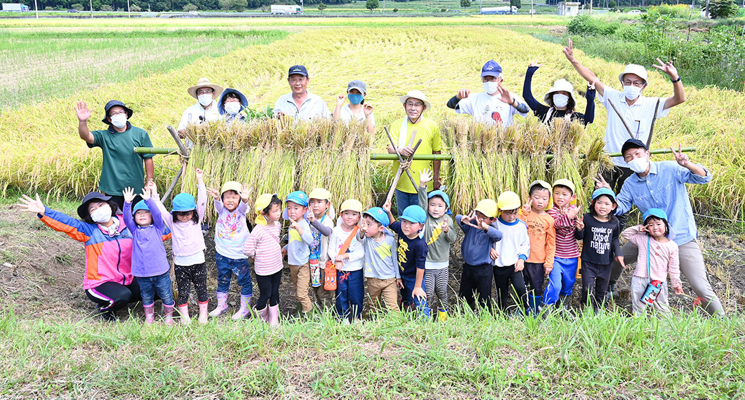 稲収穫のイメージ写真