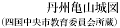 丹州亀山城図（四国中央市教育委員会所蔵）