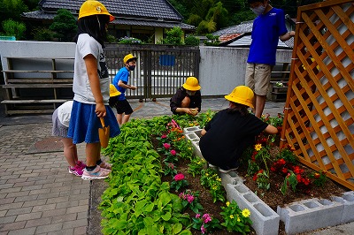 21年07月15日　花を植えましたの画像1