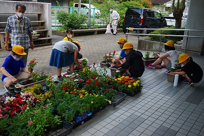 21年07月15日　花を植えましたの画像2