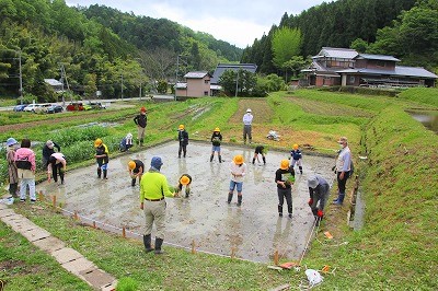 21年05月13日　田植え（5年）の画像2