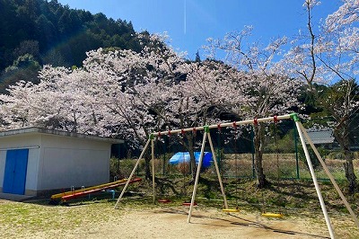 21年04月01日　春がやってきたの画像2