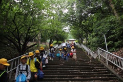 5年野外学習（1日目）（6月11日）の画像1