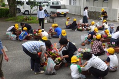 農芸高等学校連携事業（5月28日）の画像2