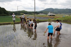 3年田植え体験（5月28日）の画像1