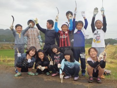 3年稲刈り（10月6日）の画像2