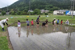 3年田植え体験（5月24日）の画像1