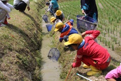 本梅町生きもの引っ越し作戦（5月30日）の画像1