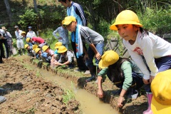 本梅町生きもの引っ越し作戦（5月30日）の画像2