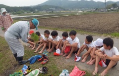 田植え（5月18日）の画像1