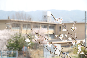 ​東輝中学校の画像1