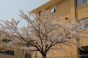 ​東輝中学校の画像2