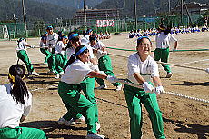 五色綱引き　3年女子の画像5