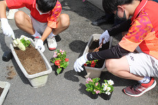 PTA花の植え替えの画像1