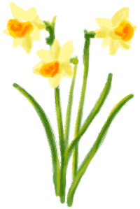 花の画像1