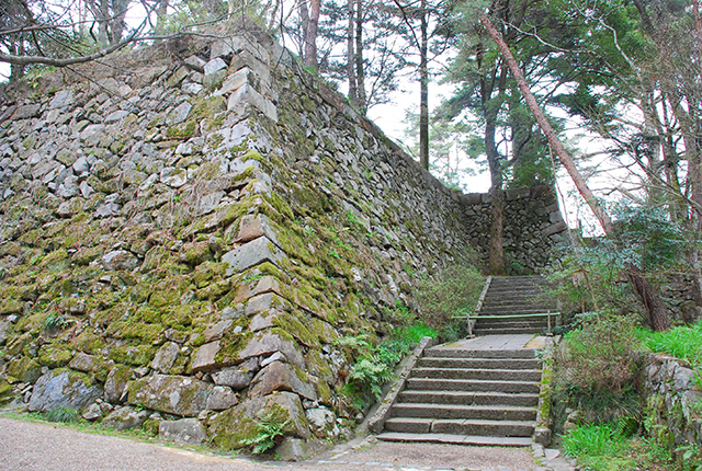 丹波亀山城跡