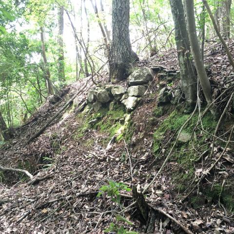 笑路城（松尾山城）跡の画像