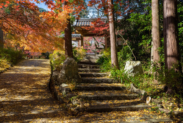 神藏寺の画像