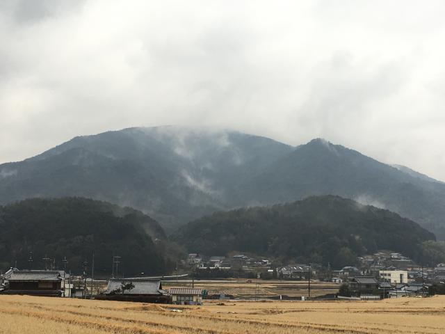 数掛山城跡の画像