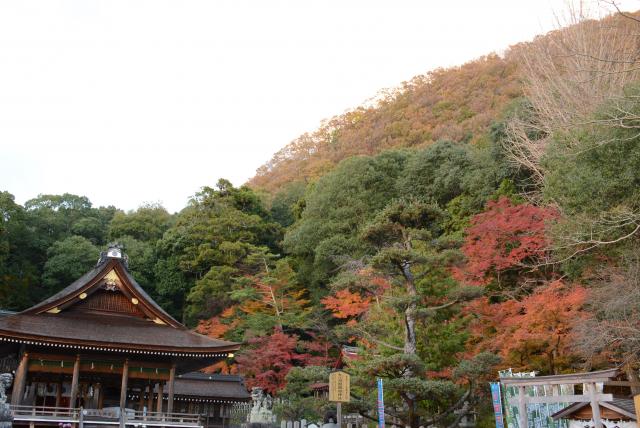 御影山城跡の画像