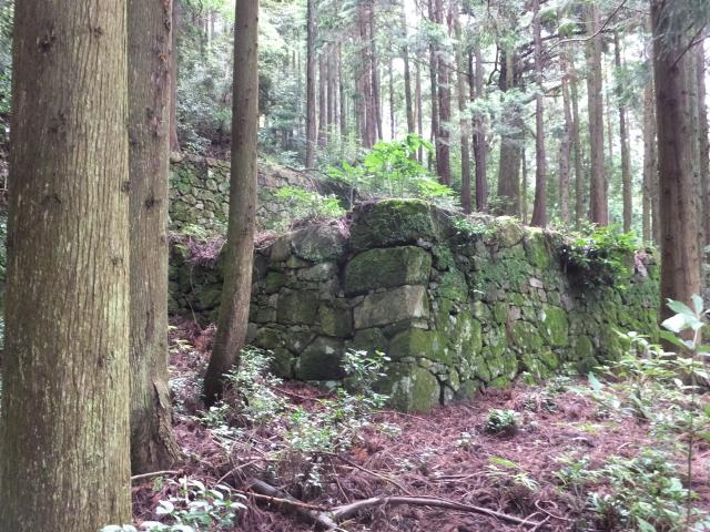 神尾山城（本目城）跡（金輪寺）の画像