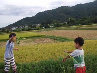 藤尾さん畑遊び