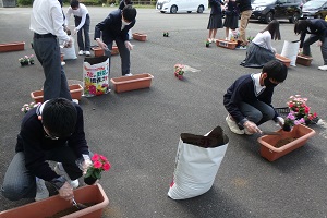 花植えの写真1