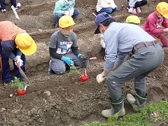 赤澤さん指導のもと苗を植える画像