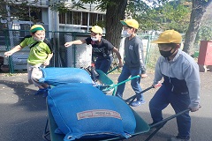 一輪車で運ぶ児童の画像