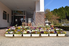 玄関を飾る花の画像