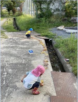 森の自然こども園東本梅自然保育写真