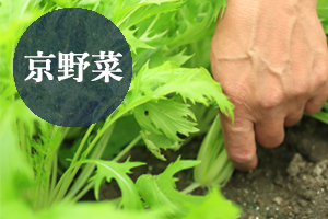 京野菜の紹介