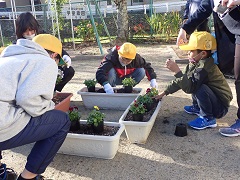 なかよし班での移植作業の画像