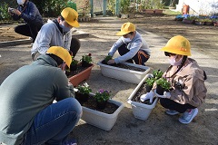 四人で移植する児童の画像