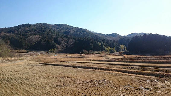 田園風景