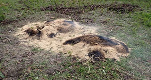 燻る籾殻火床の画像