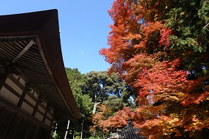 1年生地域学習の写真５