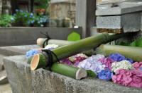 梅雨の大井神社