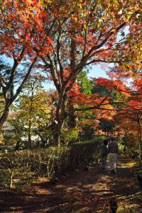 神藏寺