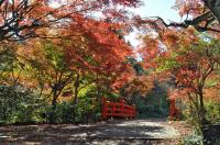 神藏寺