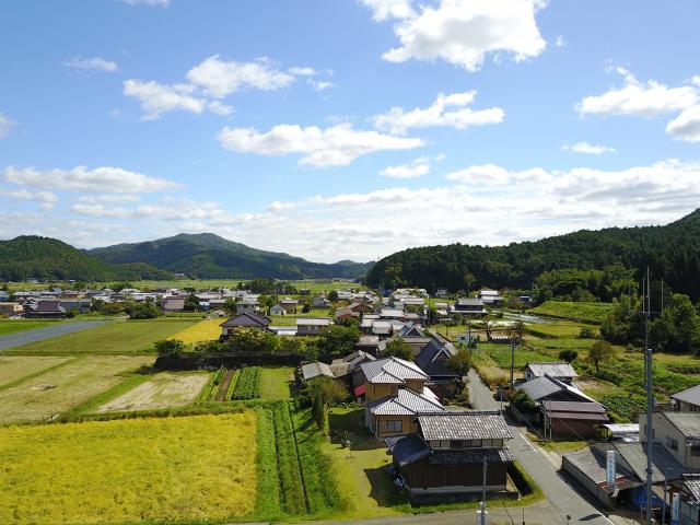 東本梅1