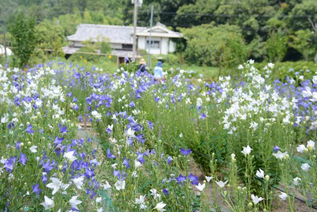 宮前町