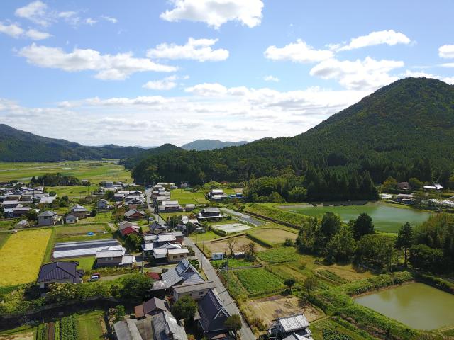 東本梅3