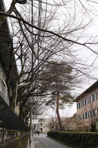 亀岡高等学校周辺の画像3