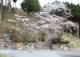 校区の風景１