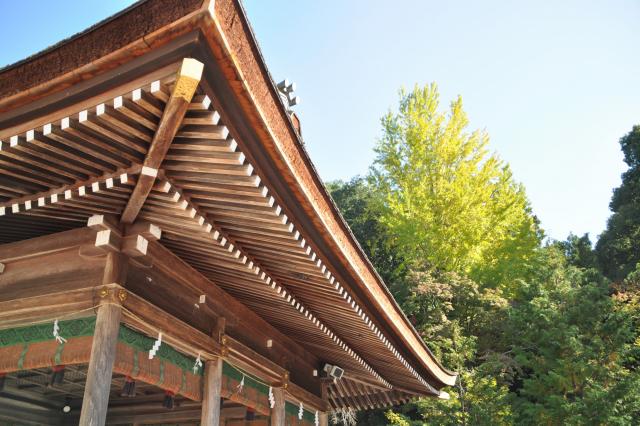 秋空と出雲大神宮の画像