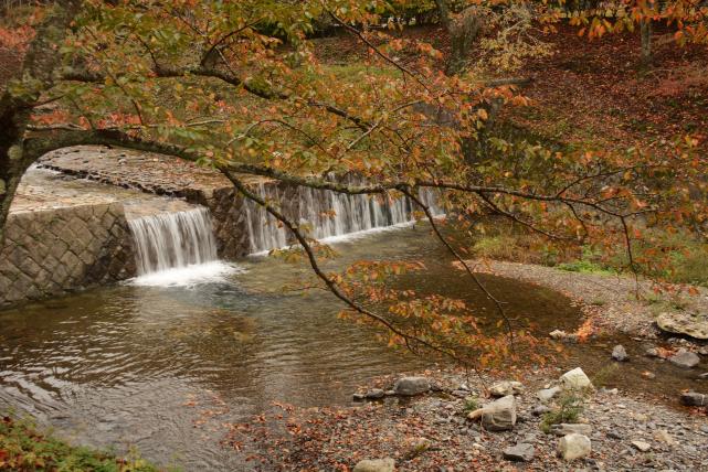 秋色に染まる七谷川の画像1