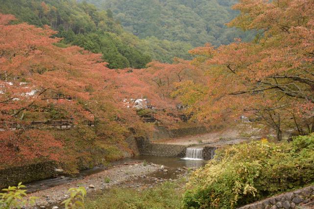 秋色に染まる七谷川の画像2