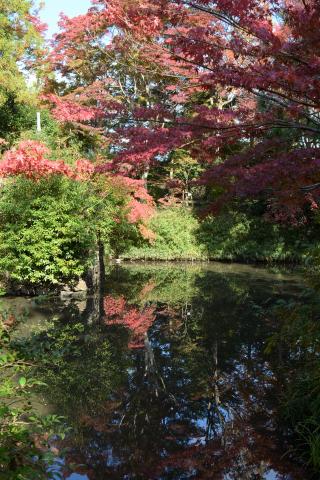 紅葉彩る境内への画像3