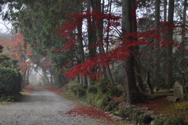 霧の龍潭寺の画像1